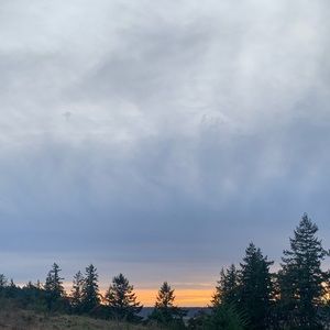 Meet your Posher, Harmony